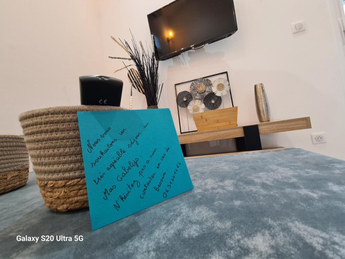 Mas Gabelys Superbe Vue Sainte Victoire Jardin Terrasse Et Piscine Apartment Trets Ngoại thất bức ảnh